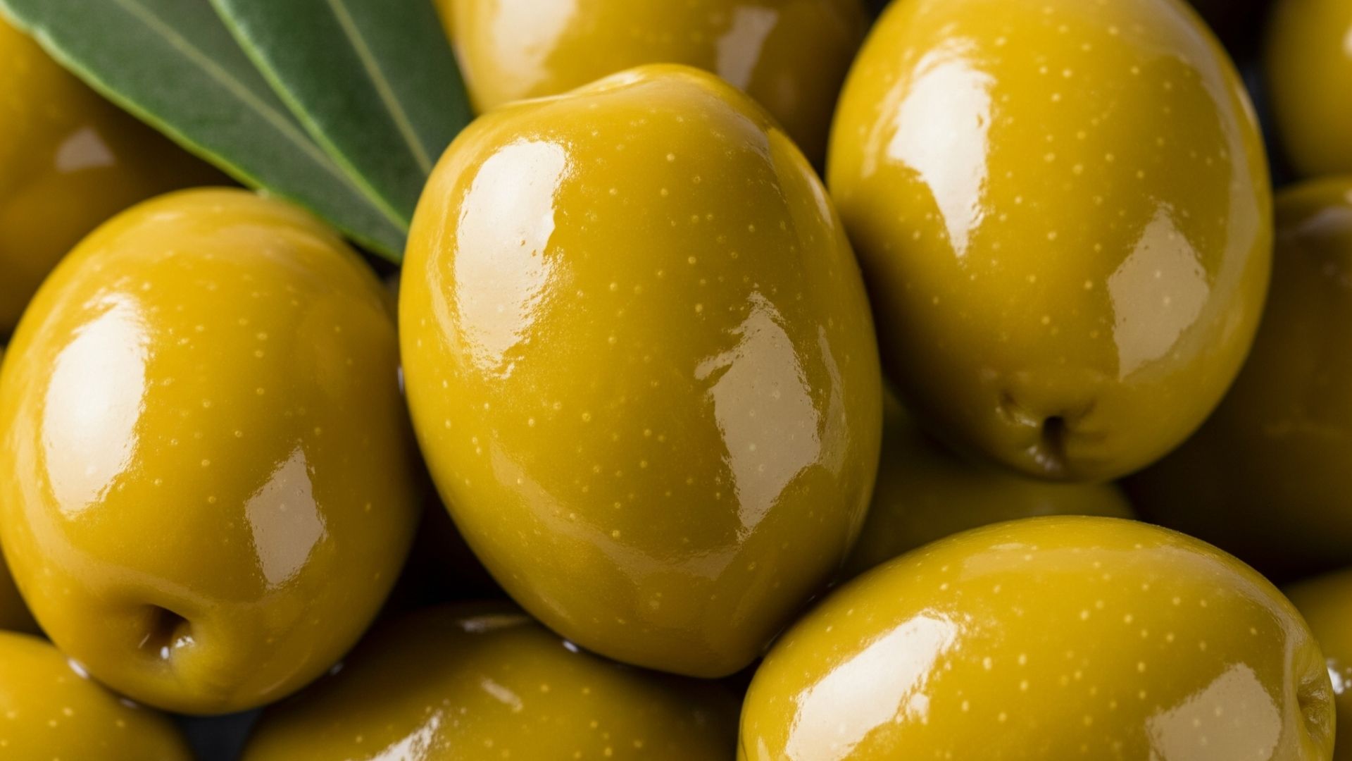 جودة الماوردى